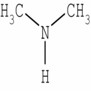 Di Methyl Amine (DMA)